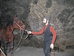 Mijnwerker met paard